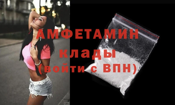 прущие грибы Саяногорск