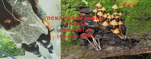 мяу мяу мука Беломорск