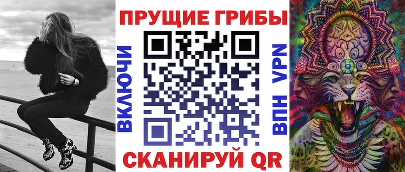 закладка  Волжск  Галлюциногенные грибы MAGIC MUSHROOMS 